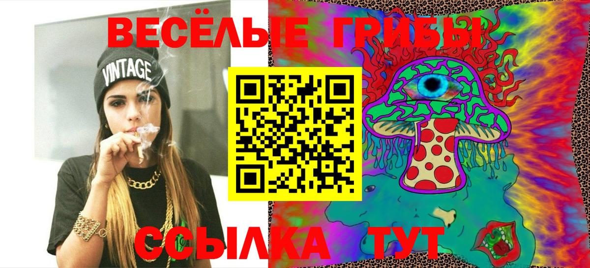 Псилоцибиновые грибы MAGIC MUSHROOMS  Вход с VPN  где продают   Волхов 